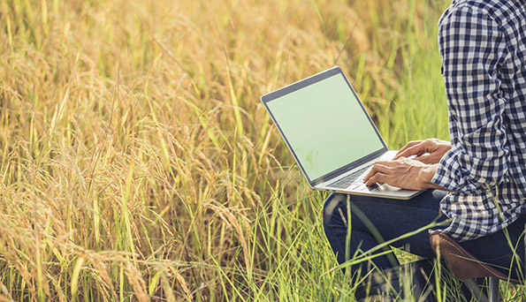 Cursos del Centro de Competencias Digitales